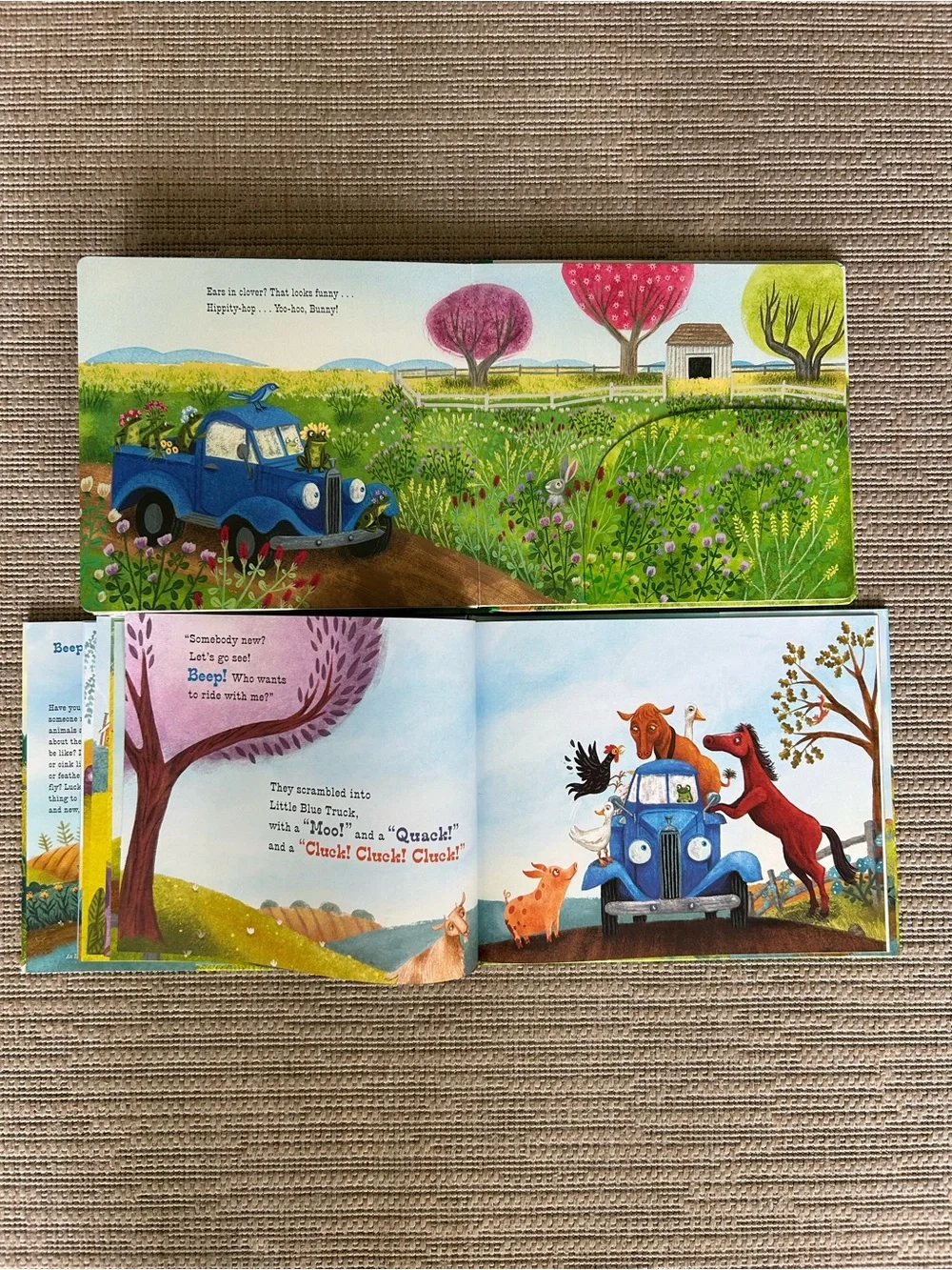 N/A board books